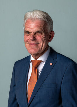 Pasfoto van H. (Henk) Plessius